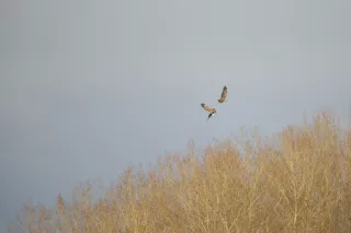 photo/fe9766a6-3b3c-4f82-baa2-c7e3456d460c-3